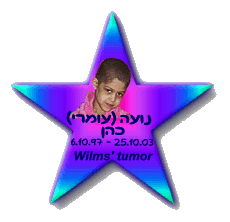 ���� (�����) ���